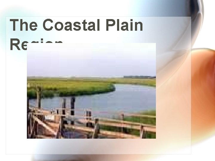 The Coastal Plain Region… 