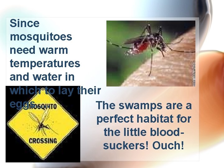 Since mosquitoes need warm temperatures and water in which to lay their eggs…. The