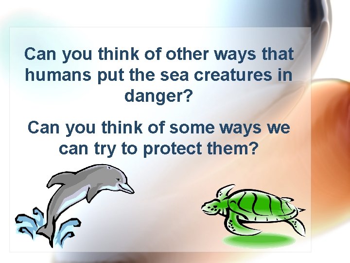 Can you think of other ways that humans put the sea creatures in danger?