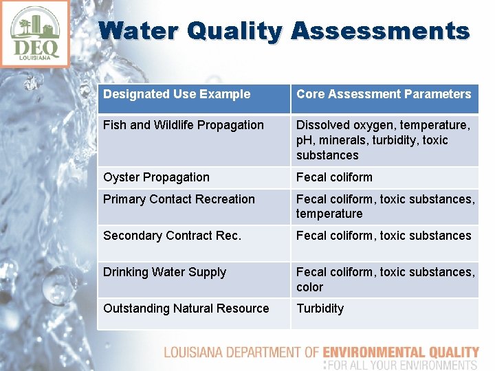 Water Quality Assessments Designated Use Example Core Assessment Parameters Fish and Wildlife Propagation Dissolved