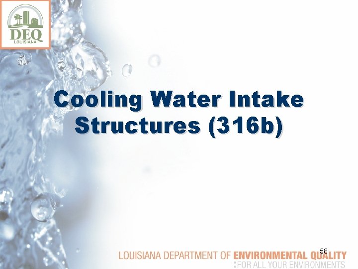 Cooling Water Intake Structures (316 b) 58 