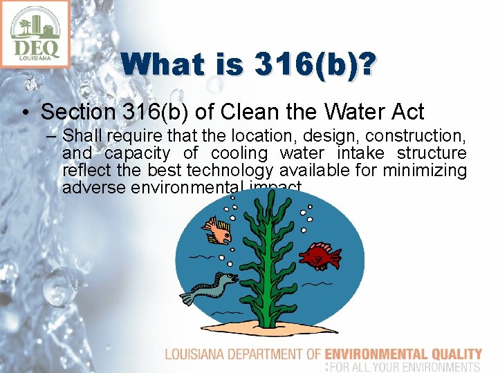 What is 316(b)? • Section 316(b) of Clean the Water Act – Shall require