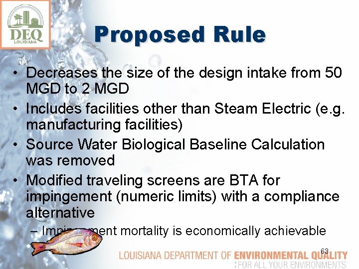 Proposed Rule • Decreases the size of the design intake from 50 MGD to