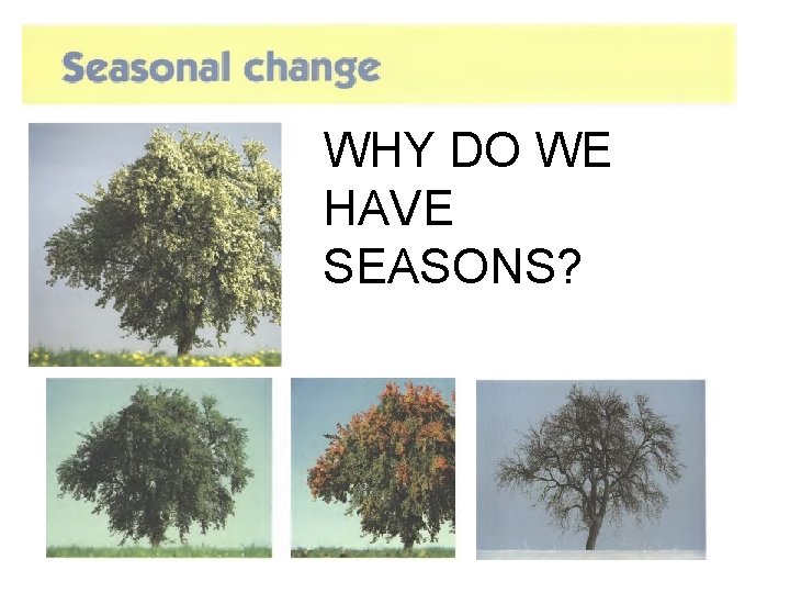 WHY DO WE HAVE SEASONS? 