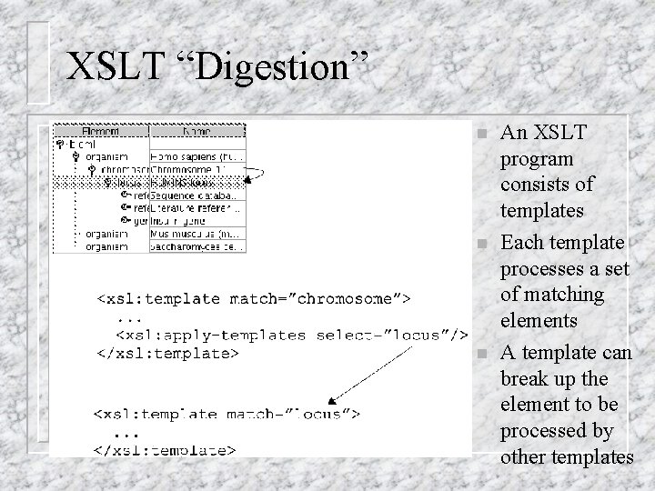 XSLT “Digestion” n n n An XSLT program consists of templates Each template processes XSLT “Digestion” n n n An XSLT program consists of templates Each template processes