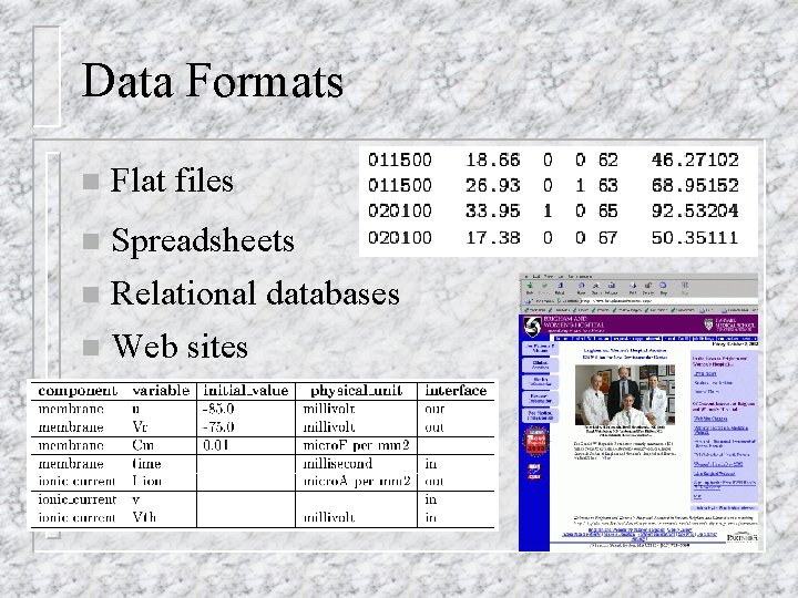 Data Formats n Flat files Spreadsheets n Relational databases n n Web sites Data Formats n Flat files Spreadsheets n Relational databases n n Web sites