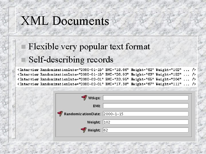 XML Documents Flexible very popular text format n Self-describing records n XML Documents Flexible very popular text format n Self-describing records n