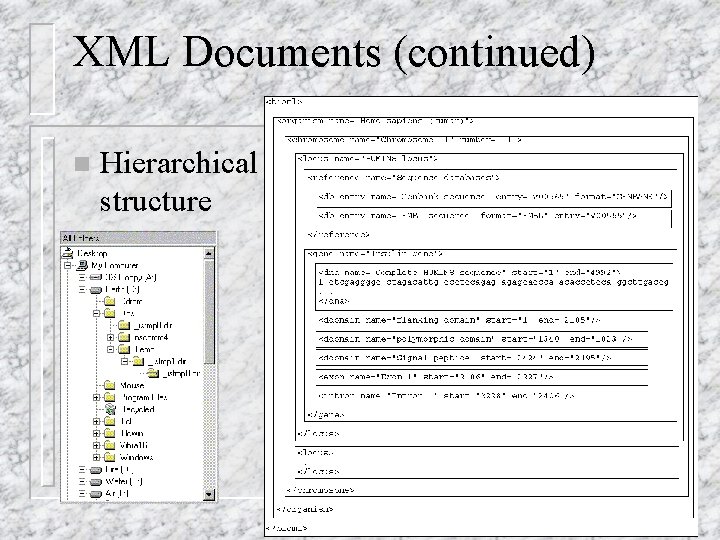 XML Documents (continued) n Hierarchical structure XML Documents (continued) n Hierarchical structure