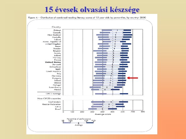 15 évesek olvasási készsége 