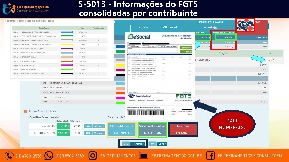 S-5013 - Informações do FGTS consolidadas por contribuinte DARF NUMERADO 