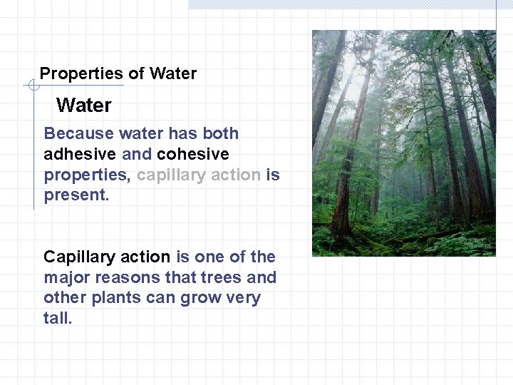 Properties of Water Because water has both adhesive and cohesive properties, capillary action is Properties of Water Because water has both adhesive and cohesive properties, capillary action is