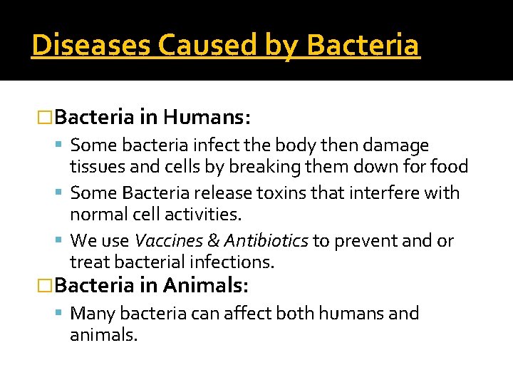 Diseases Caused by Bacteria �Bacteria in Humans: Some bacteria infect the body then damage