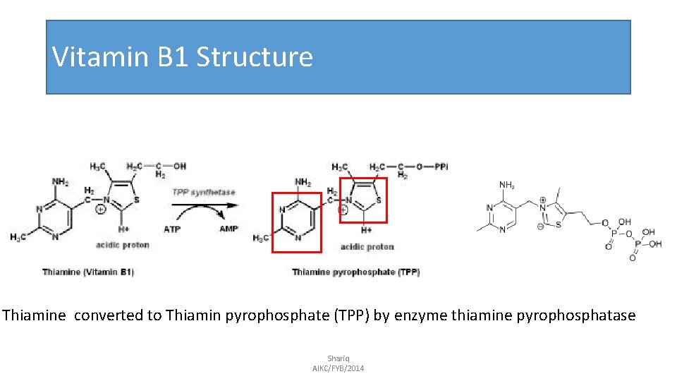 Vitamin B 1 Structure Thiamine converted to Thiamin pyrophosphate (TPP) by enzyme thiamine pyrophosphatase