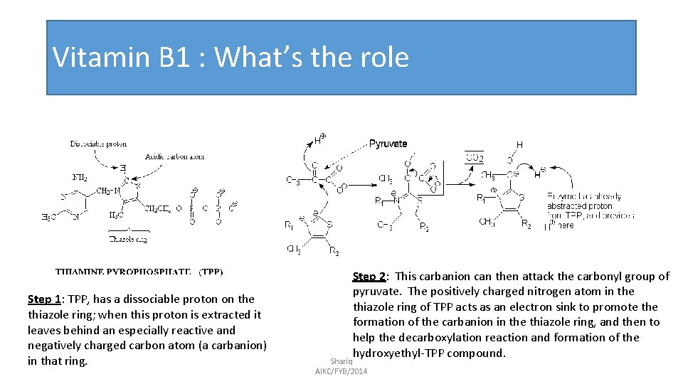 Vitamin B 1 : What’s the role Step 1: TPP, has a dissociable proton