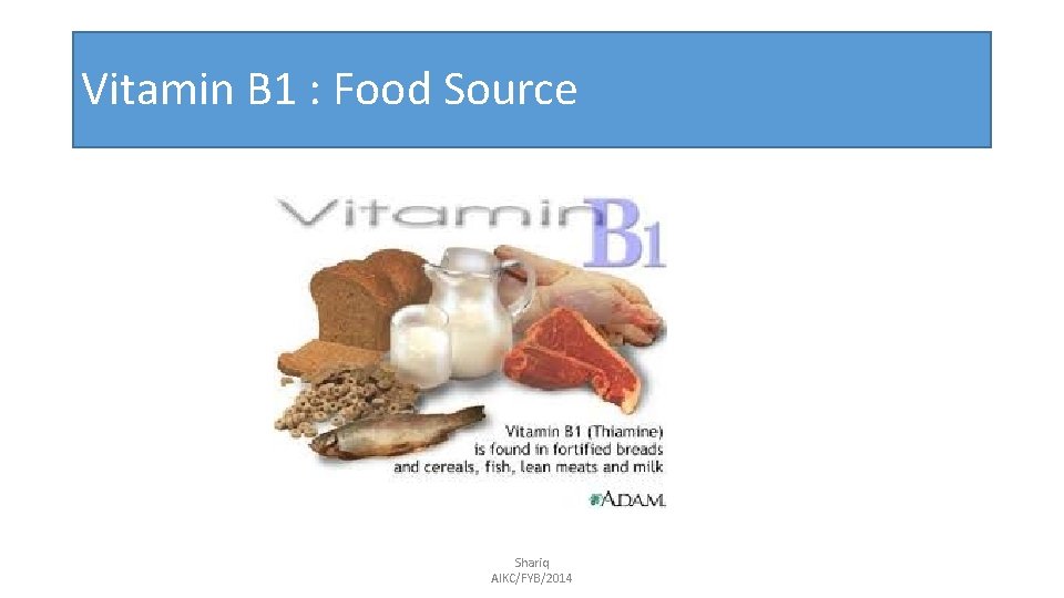 Vitamin B 1 : Food Source Shariq AIKC/FYB/2014 