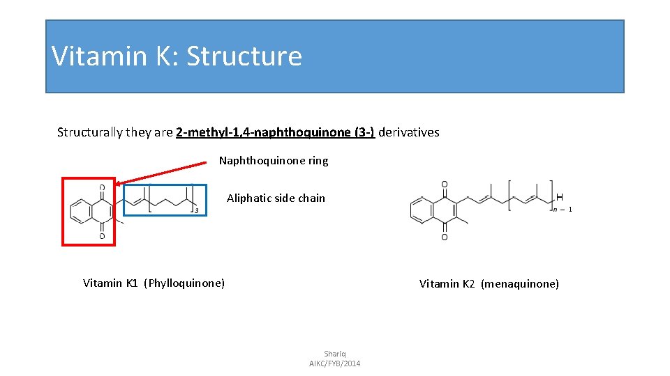Vitamin K: Structure Structurally they are 2 -methyl-1, 4 -naphthoquinone (3 -) derivatives Naphthoquinone