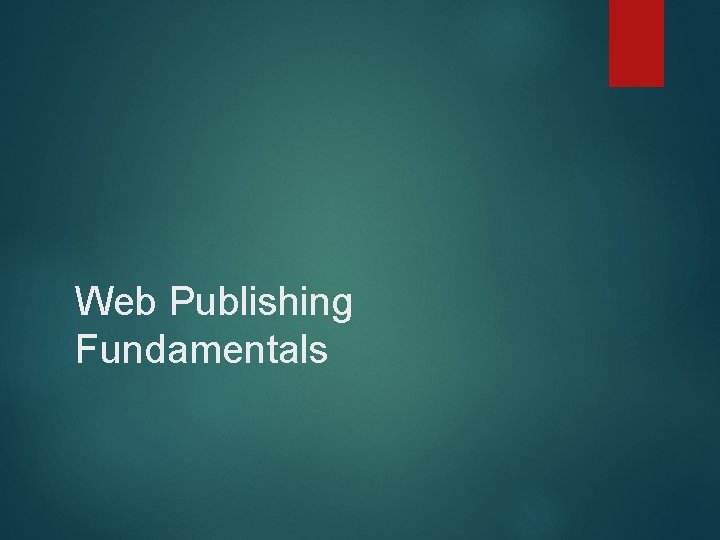 Web Publishing Fundamentals 