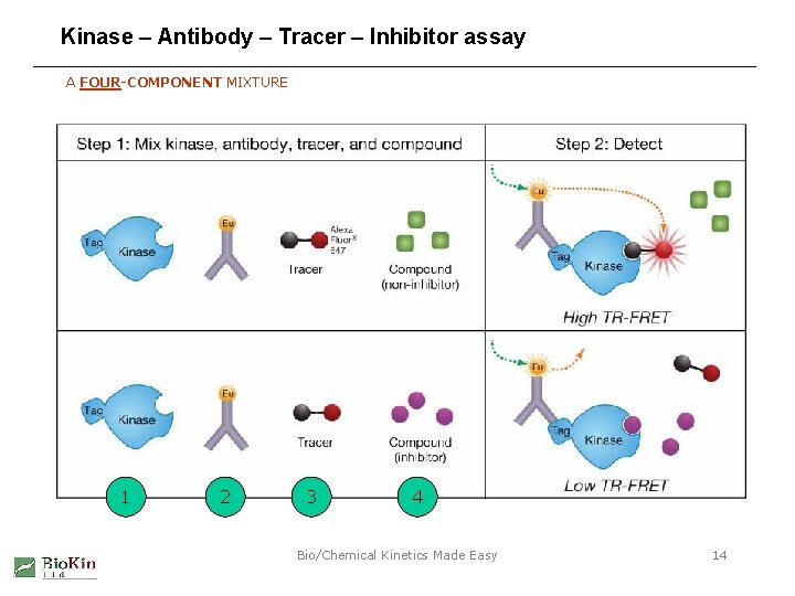 Kinase – Antibody – Tracer – Inhibitor assay A FOUR-COMPONENT MIXTURE 1 2 3