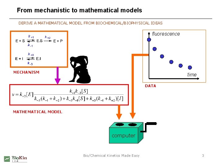 From mechanistic to mathematical models DERIVE A MATHEMATICAL MODEL FROM BIOCHEMICAL/BIOPHYSICAL IDEAS fluorescence MECHANISM