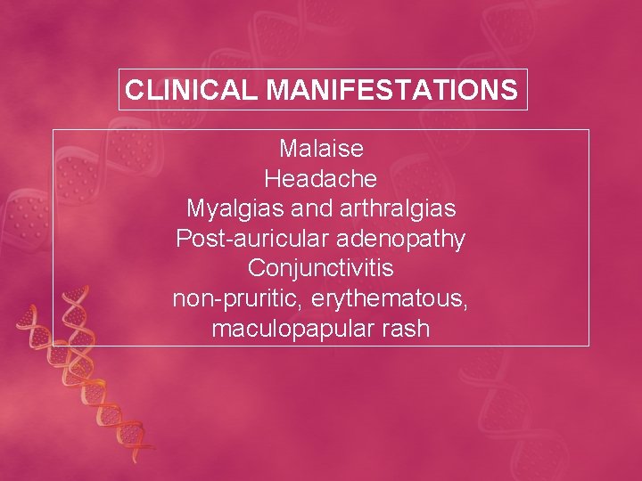 CLINICAL MANIFESTATIONS Malaise Headache Myalgias and arthralgias Post-auricular adenopathy Conjunctivitis non-pruritic, erythematous, maculopapular rash