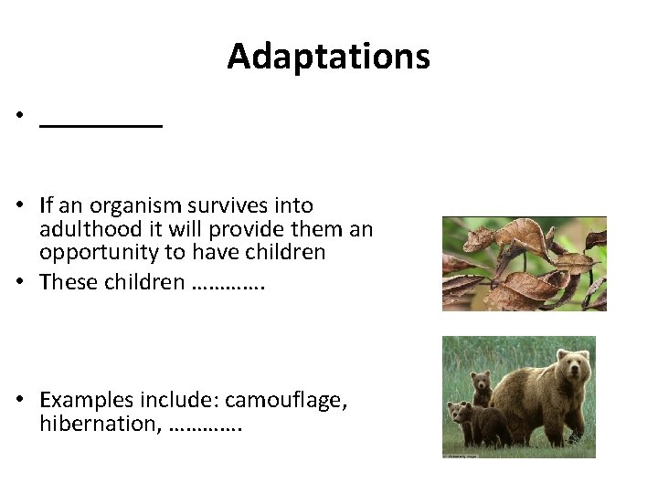 Adaptations • _____ • If an organism survives into adulthood it will provide them