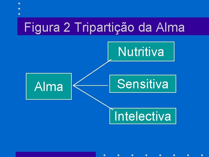 Figura 2 Tripartição da Alma Nutritiva Alma Sensitiva Intelectiva 