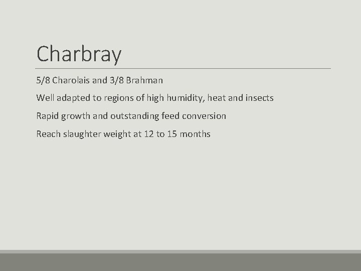 Charbray 5/8 Charolais and 3/8 Brahman Well adapted to regions of high humidity, heat Charbray 5/8 Charolais and 3/8 Brahman Well adapted to regions of high humidity, heat