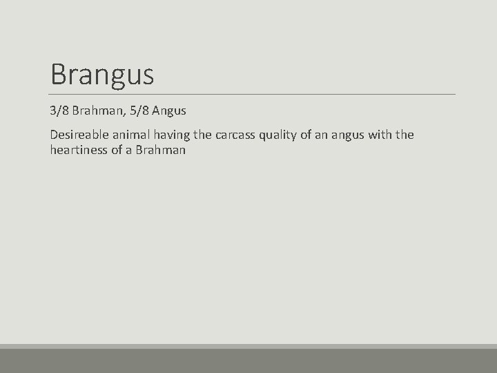 Brangus 3/8 Brahman, 5/8 Angus Desireable animal having the carcass quality of an angus Brangus 3/8 Brahman, 5/8 Angus Desireable animal having the carcass quality of an angus