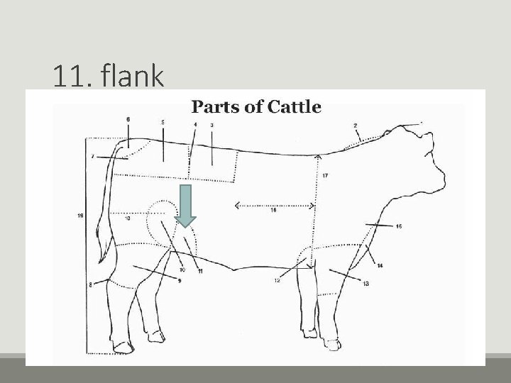 11. flank 11. flank