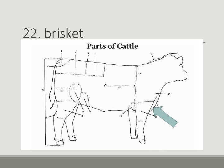 22. brisket 22. brisket