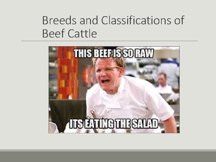 Breeds and Classifications of Beef Cattle Breeds and Classifications of Beef Cattle