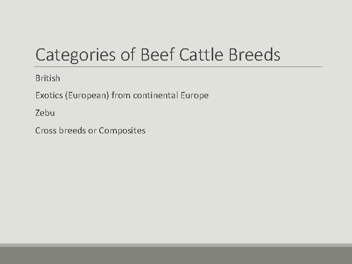 Categories of Beef Cattle Breeds British Exotics (European) from continental Europe Zebu Cross breeds Categories of Beef Cattle Breeds British Exotics (European) from continental Europe Zebu Cross breeds