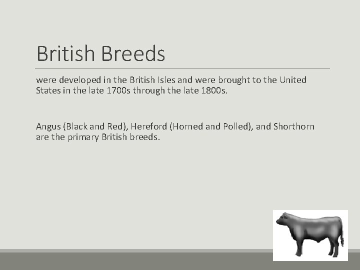British Breeds were developed in the British Isles and were brought to the United British Breeds were developed in the British Isles and were brought to the United