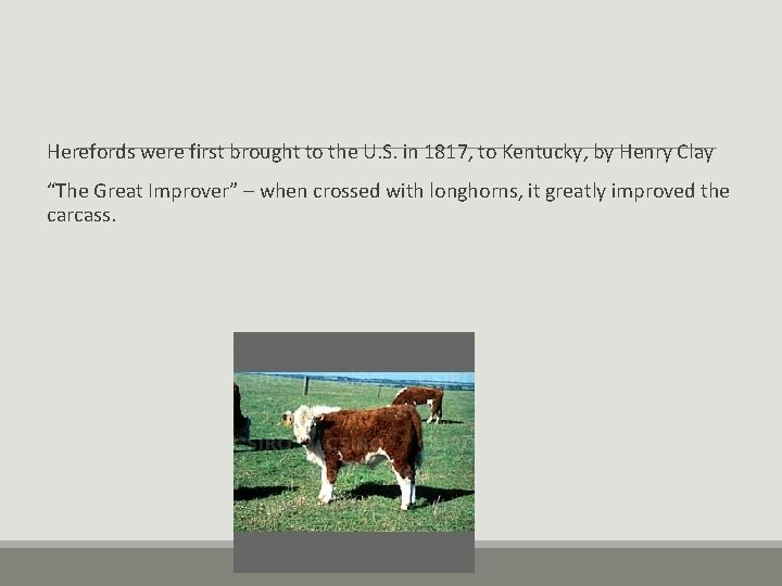 Herefords were first brought to the U. S. in 1817, to Kentucky, by Henry Herefords were first brought to the U. S. in 1817, to Kentucky, by Henry