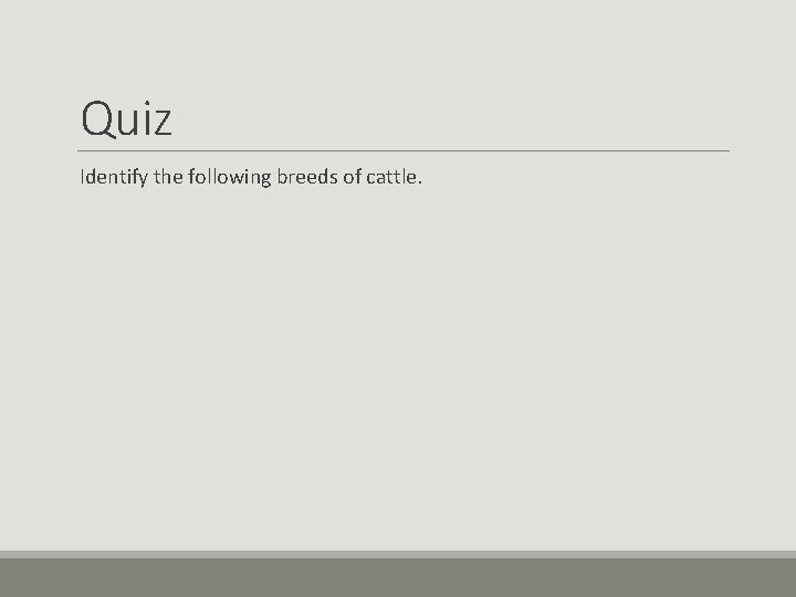 Quiz Identify the following breeds of cattle. Quiz Identify the following breeds of cattle.