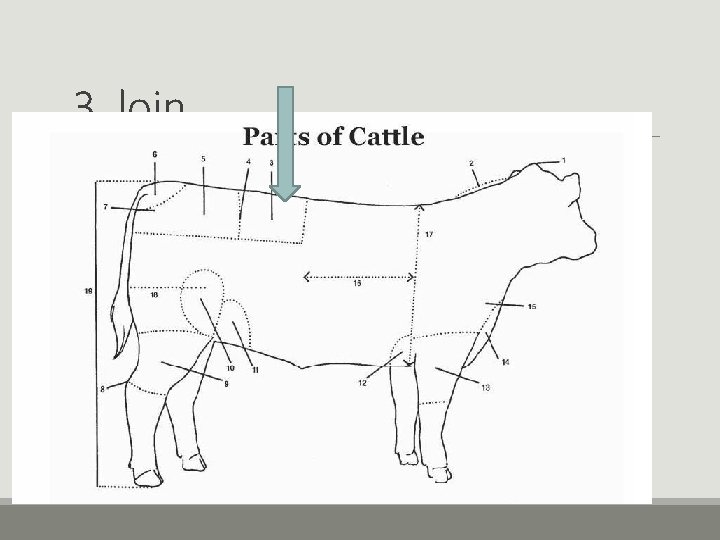 3. loin 3. loin