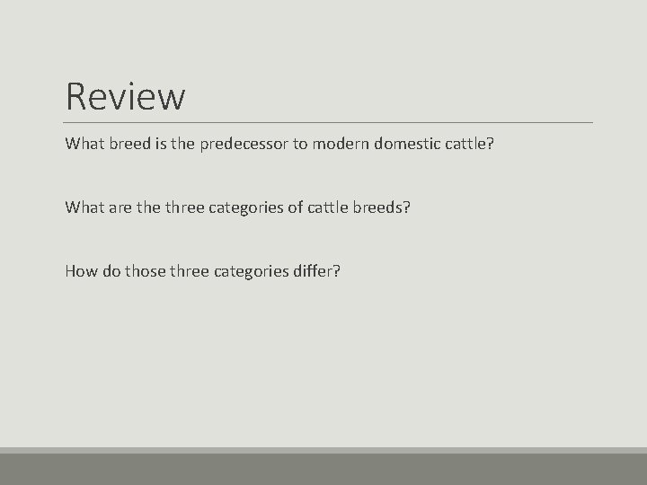 Review What breed is the predecessor to modern domestic cattle? What are three categories Review What breed is the predecessor to modern domestic cattle? What are three categories