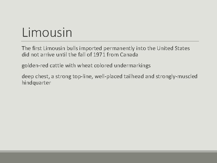 Limousin The first Limousin bulls imported permanently into the United States did not arrive Limousin The first Limousin bulls imported permanently into the United States did not arrive