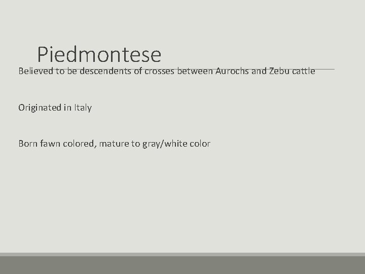 Piedmontese Believed to be descendents of crosses between Aurochs and Zebu cattle Originated in Piedmontese Believed to be descendents of crosses between Aurochs and Zebu cattle Originated in
