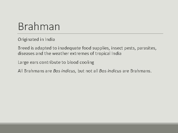 Brahman Originated in India Breed is adapted to inadequate food supplies, insect pests, parasites, Brahman Originated in India Breed is adapted to inadequate food supplies, insect pests, parasites,
