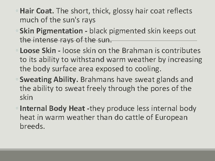◦ Hair Coat. The short, thick, glossy hair coat reflects much of the sun's ◦ Hair Coat. The short, thick, glossy hair coat reflects much of the sun's