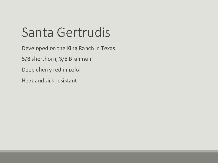 Santa Gertrudis Developed on the King Ranch in Texas 5/8 shorthorn, 3/8 Brahman Deep Santa Gertrudis Developed on the King Ranch in Texas 5/8 shorthorn, 3/8 Brahman Deep