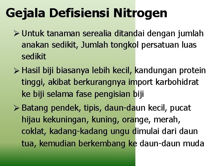 Gejala Defisiensi Nitrogen Untuk tanaman serealia ditandai dengan jumlah anakan sedikit, Jumlah tongkol persatuan