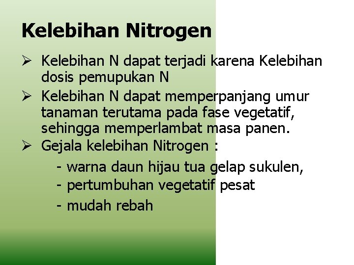 Kelebihan Nitrogen Kelebihan N dapat terjadi karena Kelebihan dosis pemupukan N Kelebihan N dapat