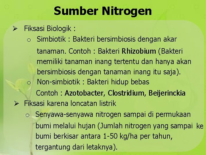 Sumber Nitrogen Fiksasi Biologik : o Simbiotik : Bakteri bersimbiosis dengan akar tanaman. Contoh