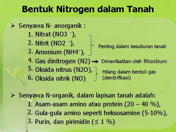 Bentuk Nitrogen dalam Tanah Senyawa N- anorganik : 1. Nitrat (NO 3 ⁻), 2.