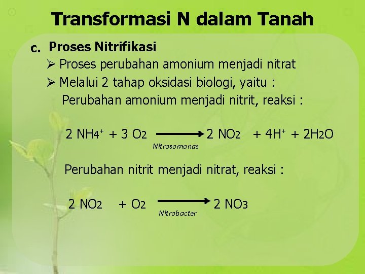 Transformasi N dalam Tanah c. Proses Nitrifikasi Proses perubahan amonium menjadi nitrat Melalui 2