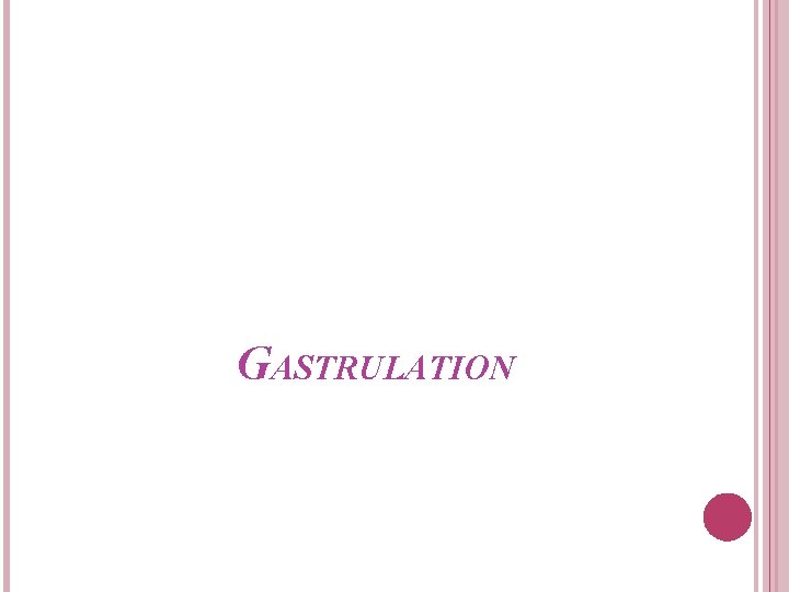 GASTRULATION 