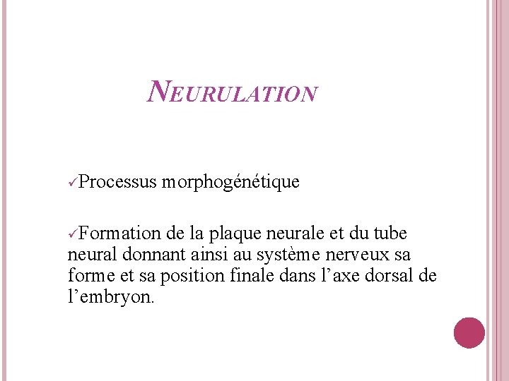 NEURULATION Processus Formation morphogénétique de la plaque neurale et du tube neural donnant ainsi