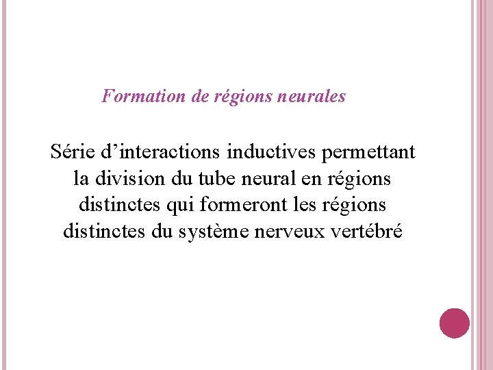 Formation de régions neurales Série d’interactions inductives permettant la division du tube neural en